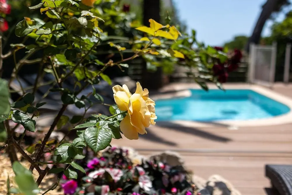 Hotel Petit Palais Nice